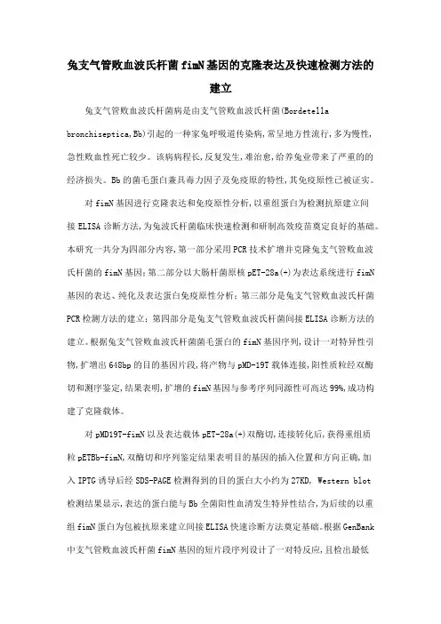 兔支气管败血波氏杆菌fimN基因的克隆表达及快速检测方法的建立