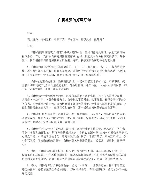 白杨礼赞的好词好句