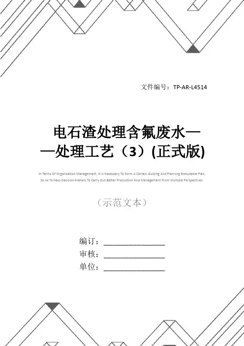 电石渣处理含氟废水——处理工艺(3)(正式版)