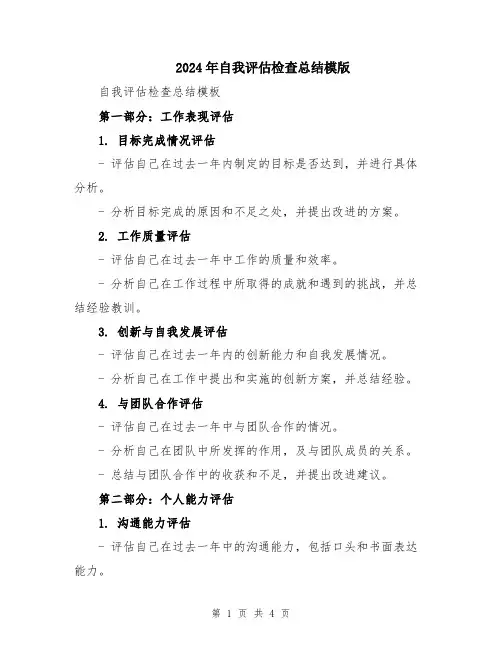 2024年自我评估检查总结模版