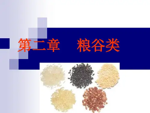 粮谷类-2
