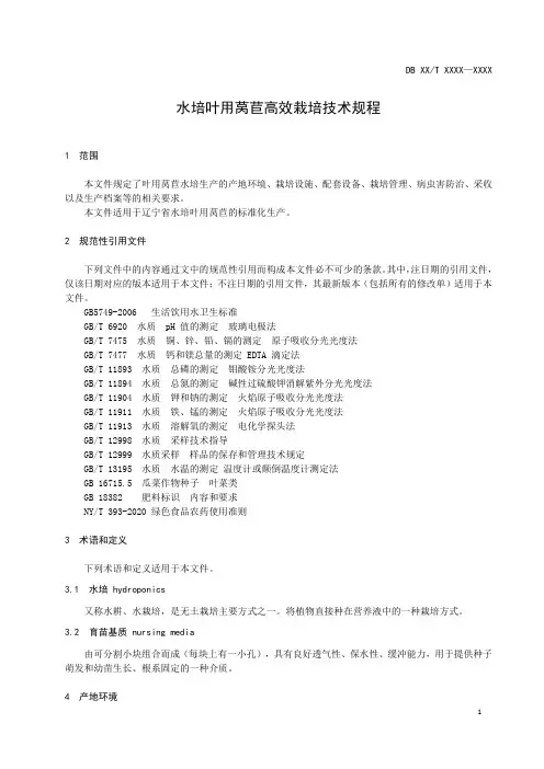 水培叶用莴苣高效栽培技术规程