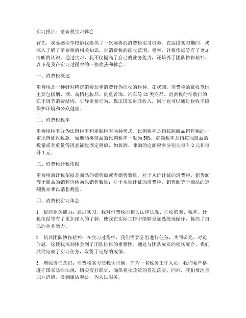 消费税实习报告
