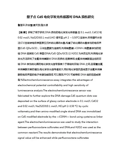 量子点CdS电化学发光传感器对DNA损伤研究