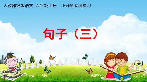 人教部编版六年级语文下册《小升初专项复习 句子(三)》教学课件PPT小学优秀课件