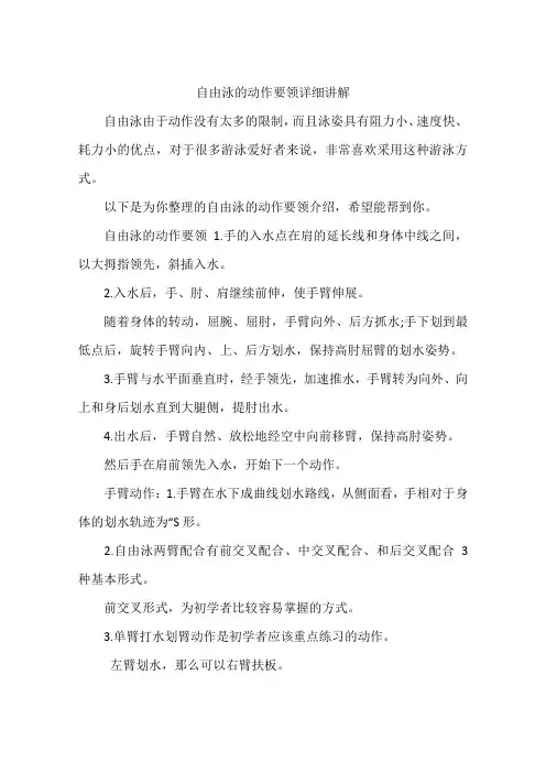 自由泳的动作要领详细讲解 2