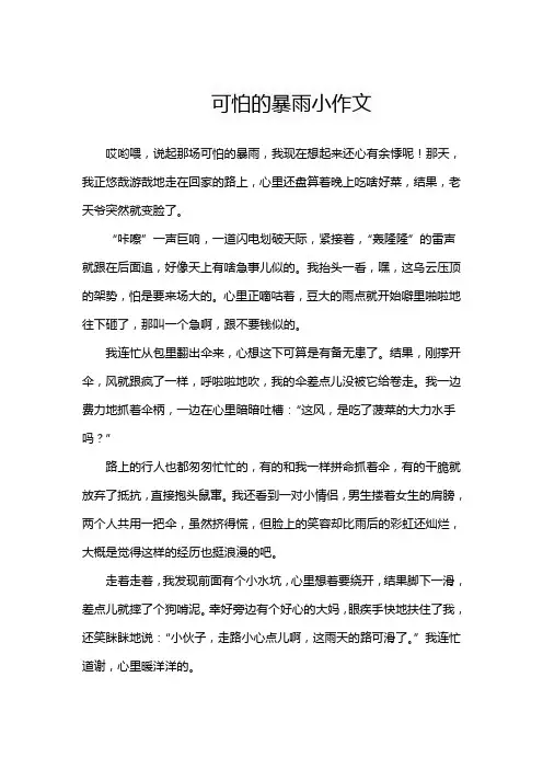 可怕的暴雨小作文