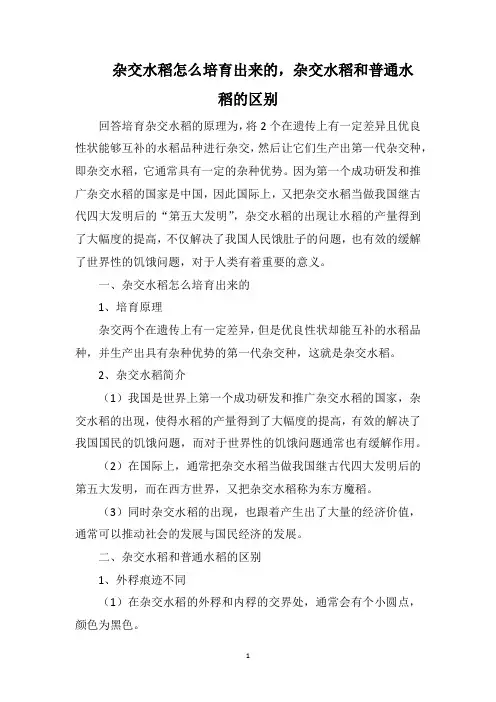 杂交水稻怎么培育出来的,杂交水稻和普通水稻的区别