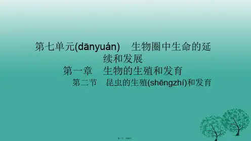 四清导航八年级生物下册第七单元第一章第二节昆虫的生殖和发育课件新版新人教版1230322