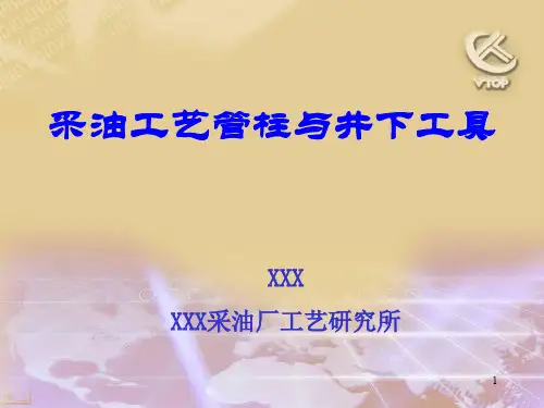 实用采油管柱与井下工具讲座ppt课件