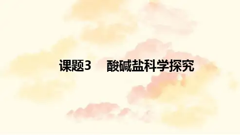 2023年中考化学二轮复习----酸碱盐科学探究题专题 课件(共42张PPT)