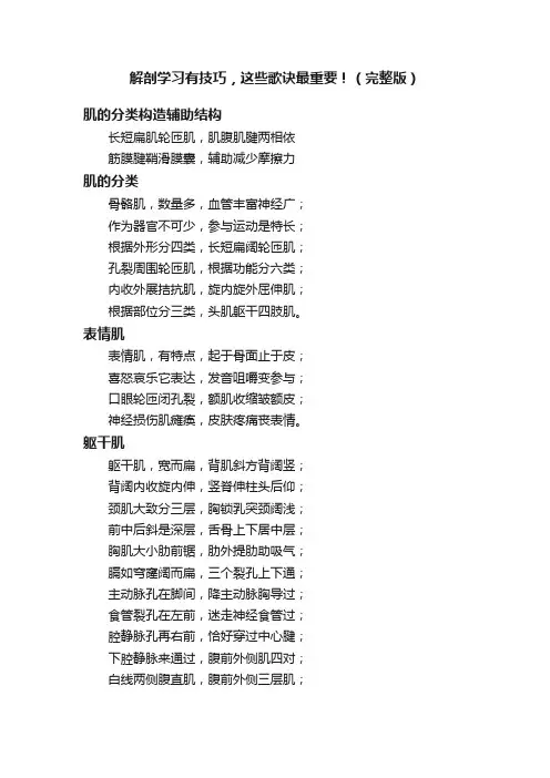解剖学习有技巧，这些歌诀最重要！（完整版）