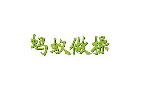 三年级上册数学课件蚂蚁做操︳青岛版(共13张PPT)