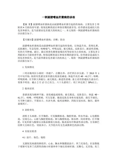 一例副猪嗜血杆菌病的诊治
