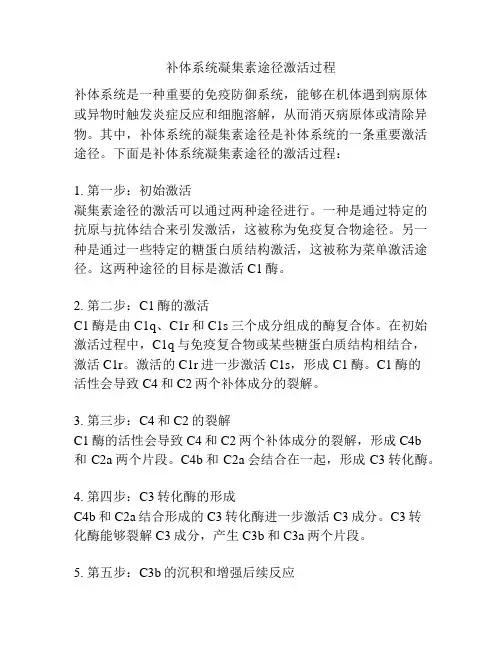 补体系统凝集素途径激活过程
