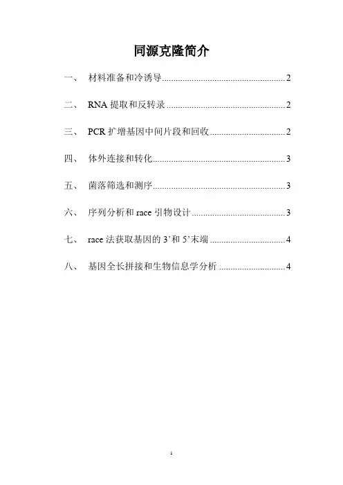 同源克隆过程简介