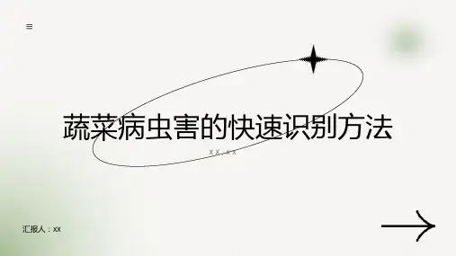 蔬菜病虫害的快速识别方法