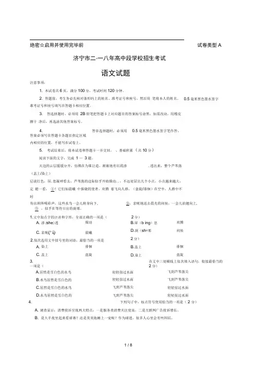 2018年山东省济宁市中考语文试题(word版-含参考答案及评分标准)