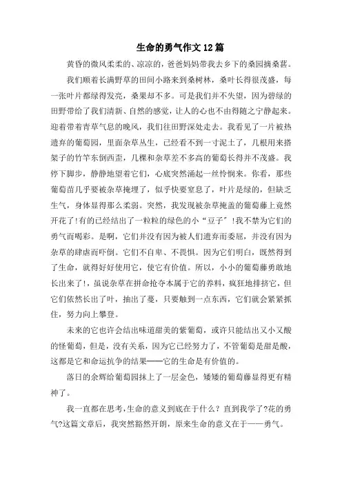 生命的勇气作文12篇精选