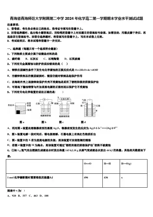青海省青海师范大学附属第二中学2024年化学高二第一学期期末学业水平测试试题含解析