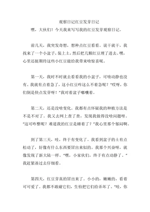 观察日记红豆发芽日记