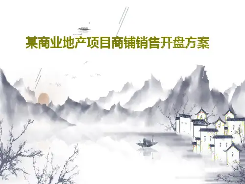 某商业地产项目商铺销售开盘方案共31页PPT
