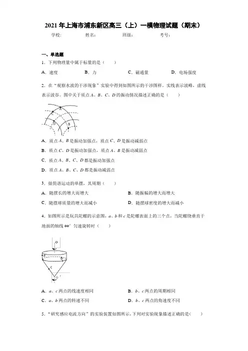 2021届上海市浦东新区高三(上)一模物理试题(期末)