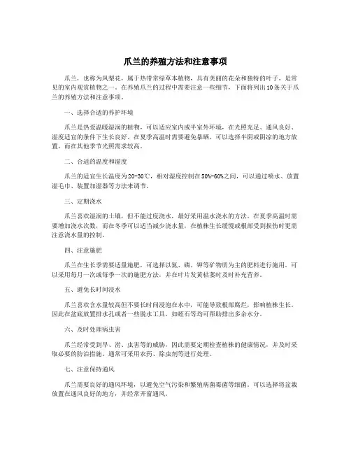 爪兰的养殖方法和注意事项