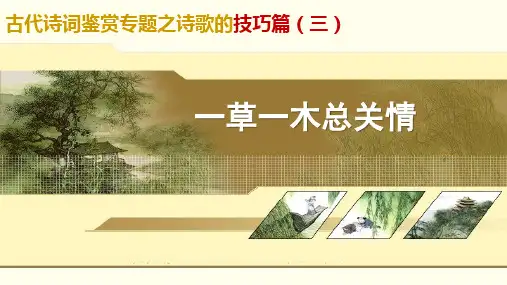 2021新高考语文诗歌鉴赏之技巧