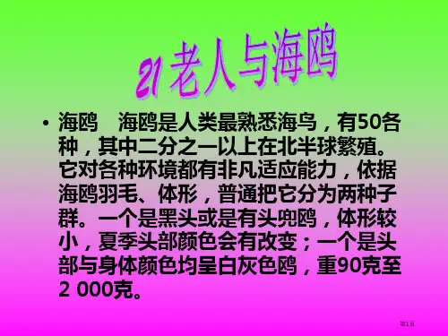 21老人与海鸥市公开课金奖市赛课一等奖课件