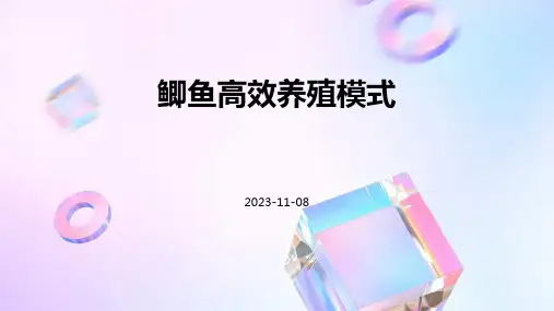 鲫鱼高效养殖模式