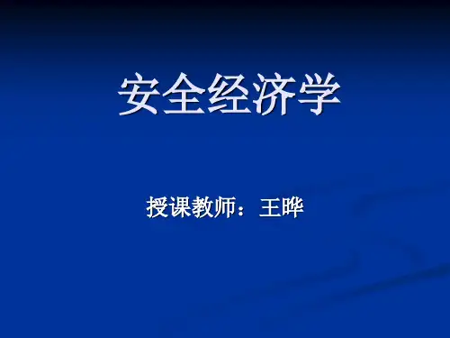 安全经济学 第六章