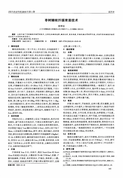 枣树嫩枝扦插育苗技术