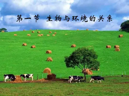 新人教版七年级上册第二章_第一节生物与环境的关系