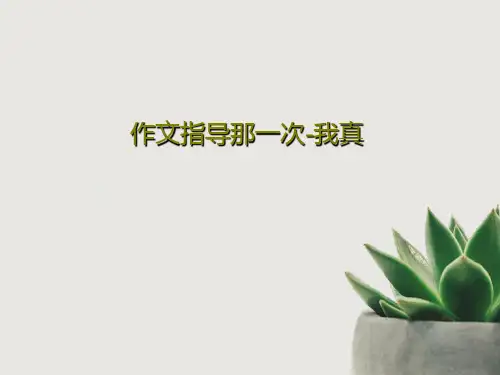 作文指导那一次-我真PPT28页