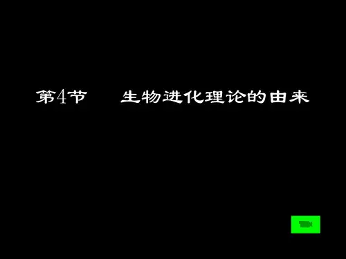 高中生物必修二课件-7.1 现代生物进化理论的由来4-人教版