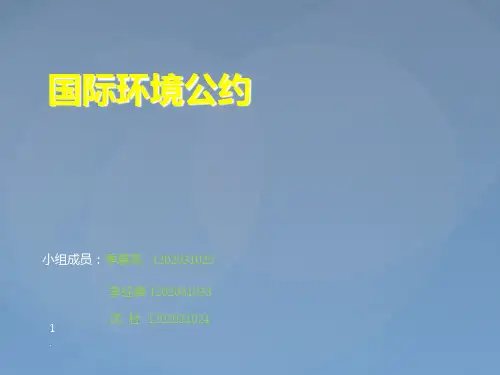 国际环境公约PPT课件