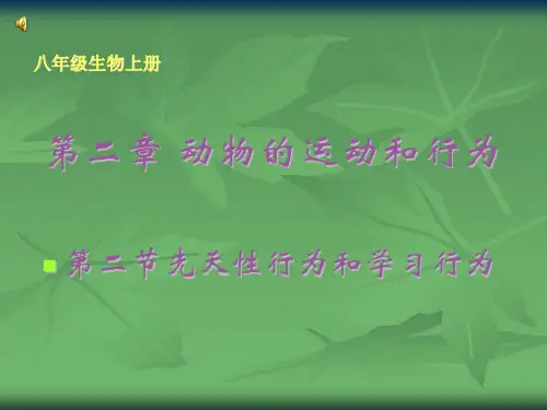 人教版八年级生物上册先天性行为和学习行为ppt课件