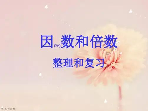 人教版五年级数学下册第二单元整理与复习总结ppt
