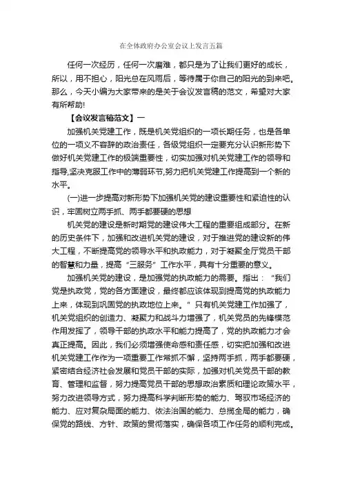 在全体政府办公室会议上发言五篇_会议发言稿_