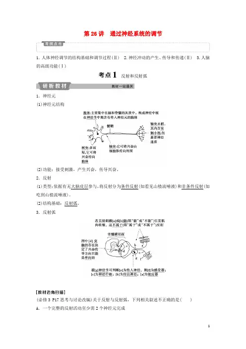 统编版2020届高考生物一轮复习 第八单元  第26讲 通过神经系统的调节学案