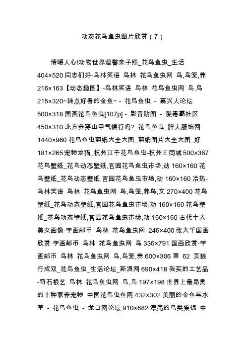 动态花鸟鱼虫图片欣赏(7)