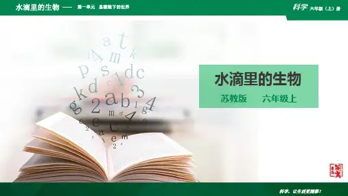 1.1 水滴里的生物  课件