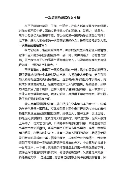 一次美丽的邂逅作文4篇