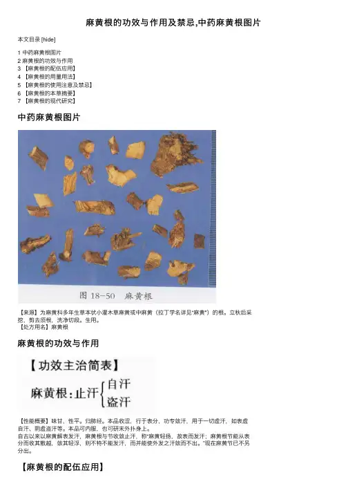 麻黄根的功效与作用及禁忌,中药麻黄根图片