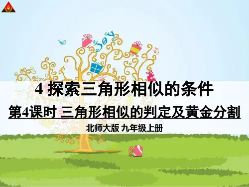 北师大版数学九年级上册课件4.4.3三角形相似的判定3及黄金分割