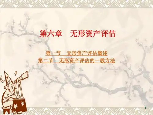 无形资产评估ppt课件