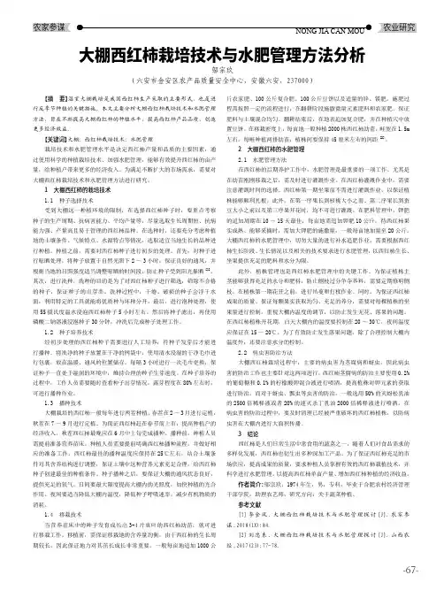 大棚西红柿栽培技术与水肥管理方法分析