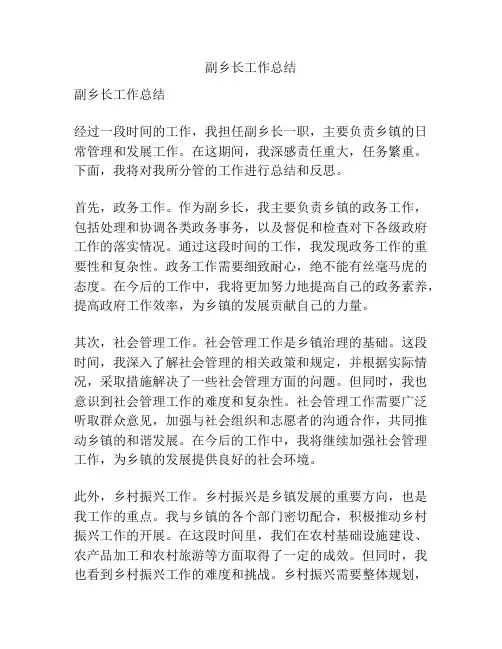 副乡长工作总结