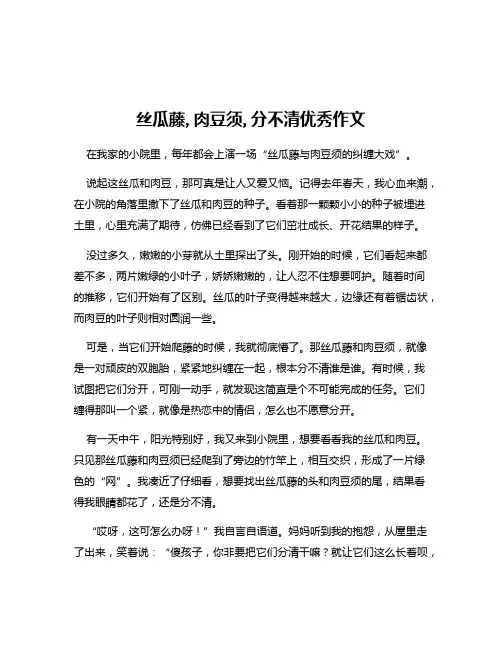 丝瓜藤,肉豆须,分不清优秀作文